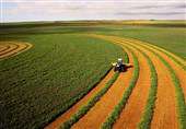 تشکیل زنجیره "سبز" برای تصمیم‌گیری در بخش کشاورزی