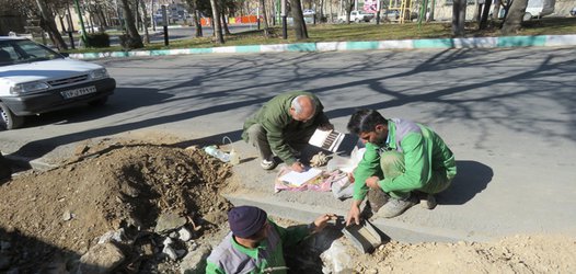 نمونه برداری از خاک محل های مورد نظر جهت مطالعه و بررسی برای حفظ درختان