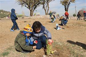 گونه های مناسب درختی جهت غرس در پارک های جنگلی سنندج در کارگروه فضای سبز و محیط زیست شهرداری تعیین می شود