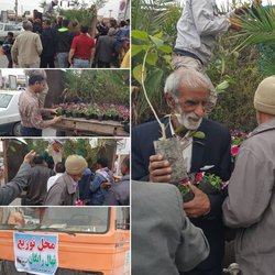 توزیع نهال رایگان بین شهروندان توسط شهرداری خرمشهر