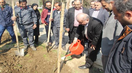 مراسم روز درختکاری در رشت برگزار گردید