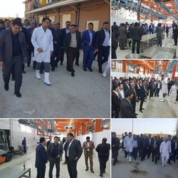 بازدید شهرداران استان خوزستان از کشتارگاه صنعتی دام در خرمشهر