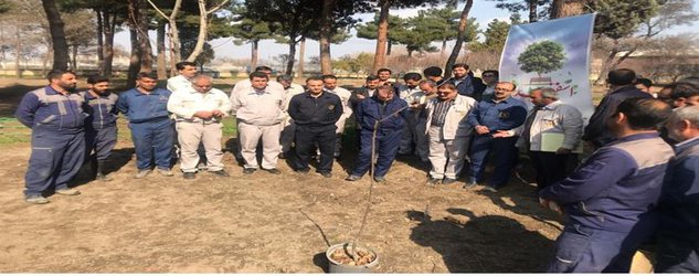 کاشت ۴۵۰ نهال درخت؛ همزمان با روز درختکاری در نیروگاه مشهد