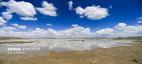 شرکت ۵۰ هزار نفر در طرح داناب/ لزوم کاهش ۴۰ درصدی مصرف آب برای نجات دشت قزوین