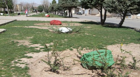 جایگذاری حدود ۲۵ سنگ رنگ آمیزی شده در بوستان ایثار (گزارش تصویری)