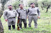 دستگیری متخلفین شکار و صیددر مازندران