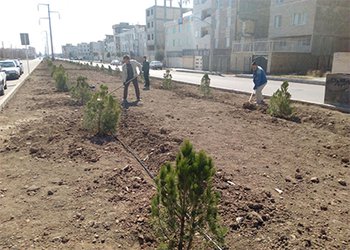 فضای سبز ورودی شهرک عارف تحت پوشش آبیاری قطره ای قرار گرفت