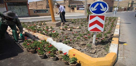گزارش تصویری / روایت تلاش در حوزه فضای سبز شهری /کاشت گل های فصلی در سطح شهر