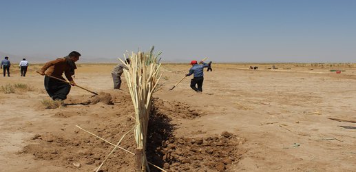 کنترل ریزگردهای محلی در کویر میقان اراک