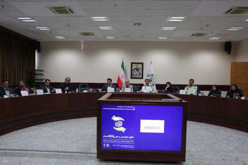 پا به رکاب شهر