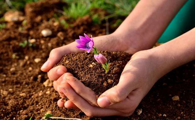 "توقف فرسايش خاك، حفظ آينده ما"