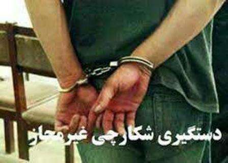 شکار بی ضابطه گراز تهدیدی برای زنجیره غذایی پلنگ ها