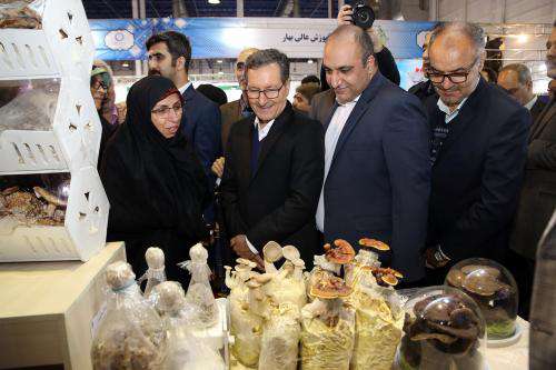 تحقیقات بنیادین و کاربردی، هسته زایش و روش علم و  ...