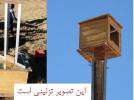 ساخت آشيانه پرندگان كمياب شكاري بر روي پايه هاي شبكه