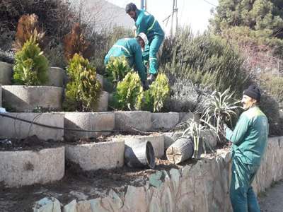 فضای سبز حاشیه بلوار حکم آباد واکاری شد