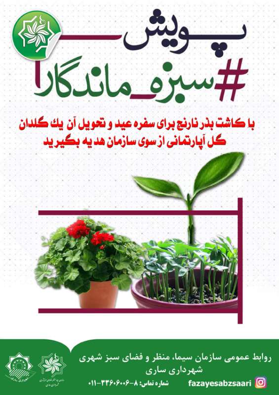 از پویش سبزه ماندگار تا یک گلدان گل به شهروندان