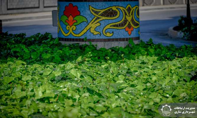 اردیبهشتی ترین روزهای ساری