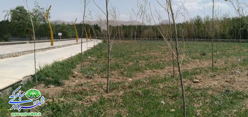 کاشت20 هزار اصله درخت و درختچه در فضاهای سبز شهر مبارکه