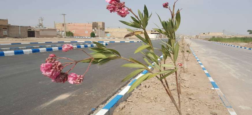 شهردار خرمشهر از کاشت ۴۰۰ نهال در بلوار جدیدالاحداث کوی نودهکتاری به طول ۱۲۰۰ متر خبر داد