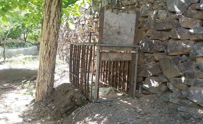 كشف تله زنده گيري حيات وحش چهارپا در نايين