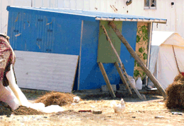 ۵۷ روستای زلزله زده ورزقان کانکس نگرفته اند