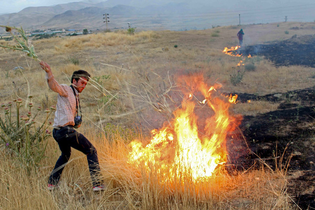 با تداوم روند کنونی ۶۰ سال دیگر جنگل در ایران نخواهیم داشت