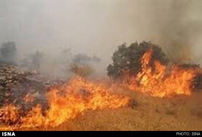 حدود چهارهزار از گون‌زارهای شلمزار در آتش سوخت