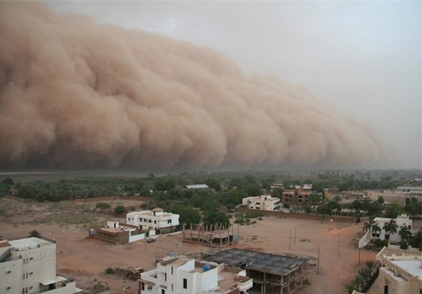 ریزگردها، محصولات کشاورزی سیستان را نابود کرده اند