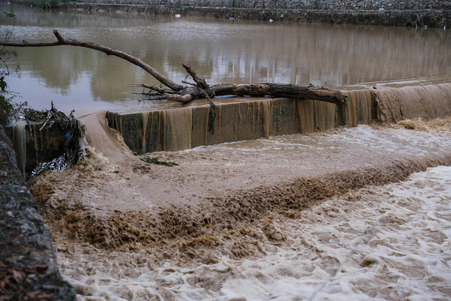 میزان خسارت طوفان در آمل اعلام شد