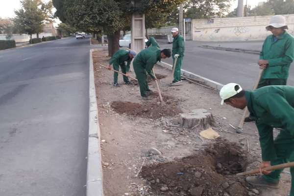 فضای سبز حاشیه خیابان سلامگاه واکاری شد