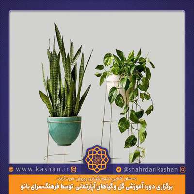 برگزاری دوره آموزشی گل و گیاهان آپارتمانی  توسط فرهنگ‌سرای بانو