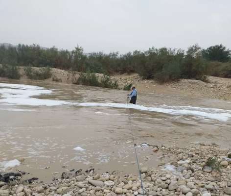 20 میلیمتر بارندگی در استان بوشهر ثبت شد