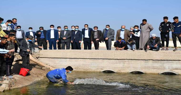 رهاسازی ۸۰ هزار قطعه ماهی بومی در تالاب بین‌المللی شادگان