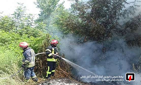 هشدار سازمان آتش نشانی رشت نسبت به ایمنی در برابر وزش باد گرم و آتش سوزی علفزارها/ آتش نشانی رشت