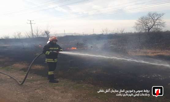 توصیه رییس سازمان آتش نشانی در پی وزش شدید بادگرم و افزایش شمارآتش سوزی ها/ آتش نشانی رشت