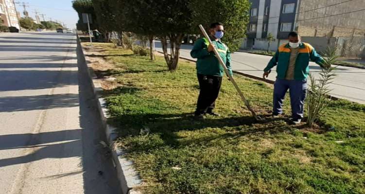 كاشت ٤٠ نخل ثمرده در فضاى سبز بلوار عشاير توسط شهردارى خرمشهر