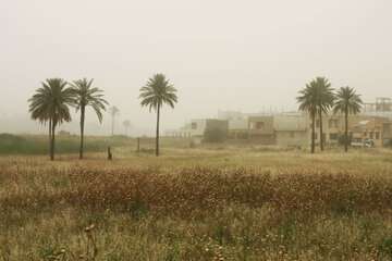 وقوع پدیده گرد و خاک در زابل، خوزستان، ایلام و بوشهر