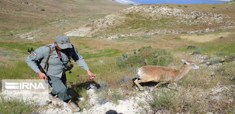 محیط بانان سپر بلای طبیعت