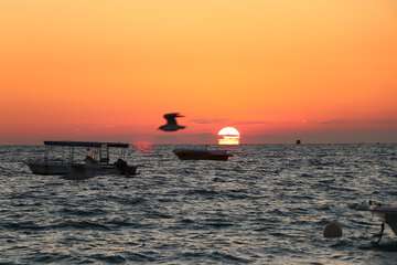 خرید کشتی و نوسازی ناوگان دریایی ضروری است