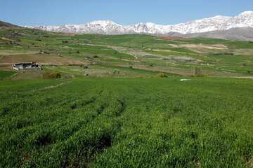 پیش‌بینی جوی آرام و آسمانی آفتابی برای اغلب مناطق کشور