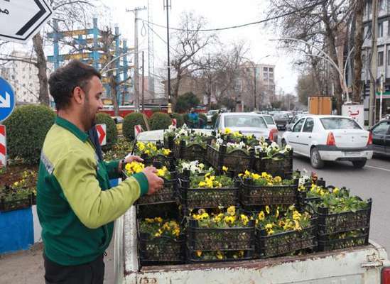 کاشت انواع گل‌های فصلی و زینتی در سطح شهر آغاز شد