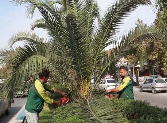 در راستای رفاه حال شهروندان؛