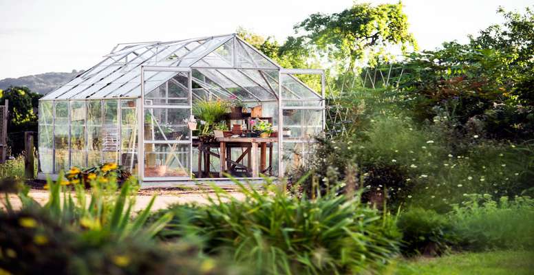  کشاورزی در گلخانه