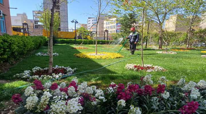 فضای سبز معابر مرکزی تبریز ساماندهی می‌شود