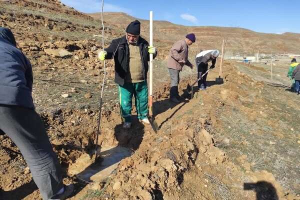 کاشت ۱۶ هزار اصله نهال در فاز دوم تفرجگاه جنگلی آرپادره‌سی در سال ۱۴۰۲