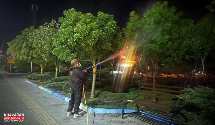 آغاز عملیات گسترده سمپاشی بهاری در فضای سبز شهرک خاوران