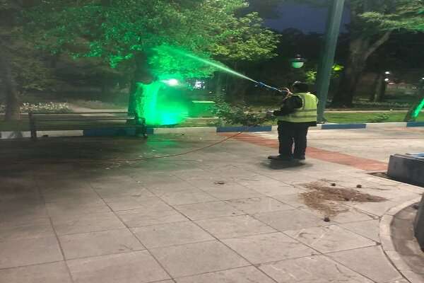 لزوم ترویج فرهنگ درخت‌بانی در کنار درختکاری در سطح شهر