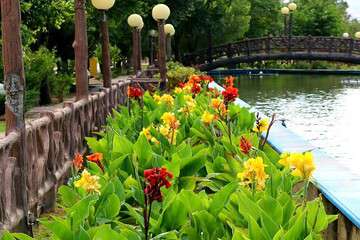 جلوه زیبایی از گلکاری های تابستانه در حوزه شهرداری منطقه ۴