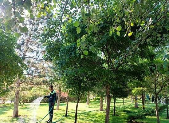 آبیاری مستمر و منظم فضاهای سبز شهری همزمان با افزایش دمای هوا