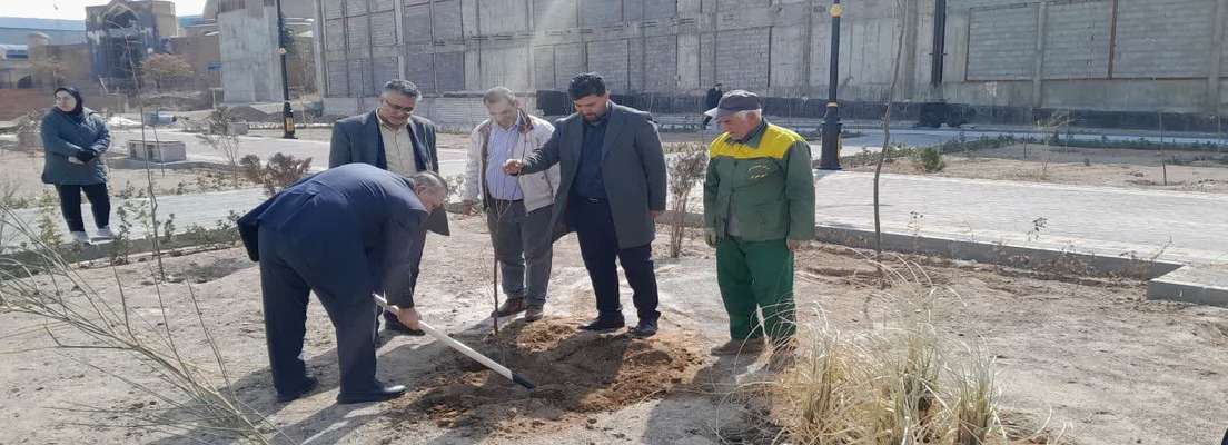 کاشت ۳۰ نهال در بوستان روشنایی توسط شهرداری منطقه ۸